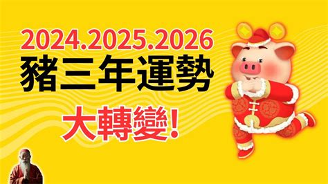 生肖豬幸運色|2024豬年開運色速查